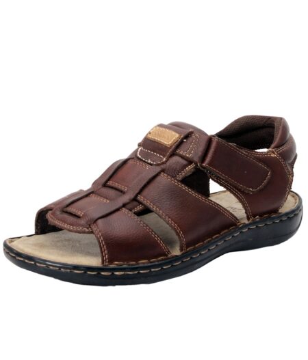 DOCTOR (BROWN)