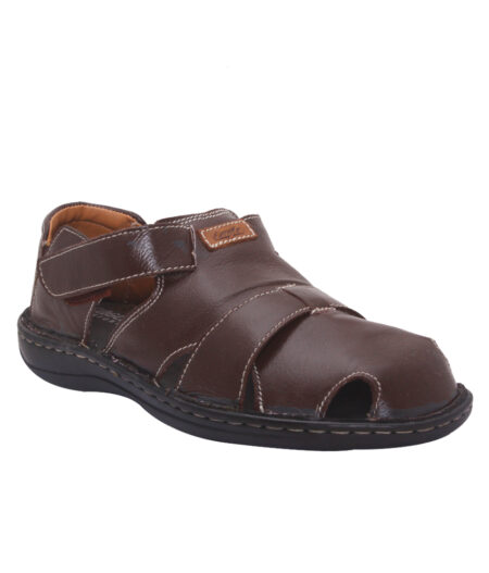 LEE (BROWN)
