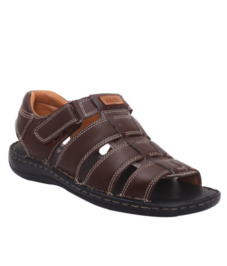 HENRY (BROWN)