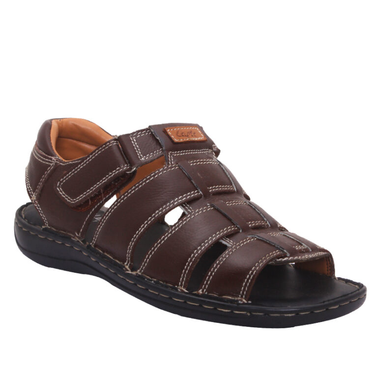 HENRY (BROWN)